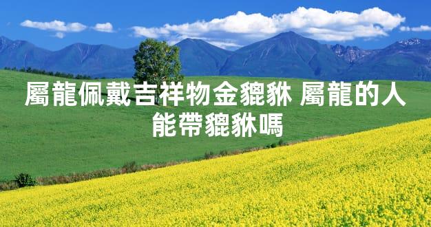 屬龍佩戴吉祥物金貔貅 屬龍的人能帶貔貅嗎